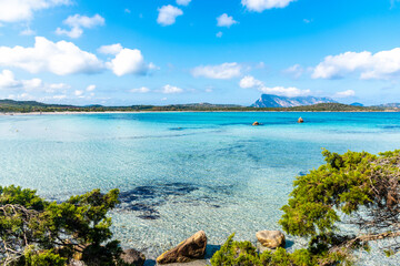 Green plants and turquoise water in Lu Impostu beach