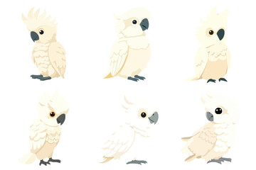 Cute Cartoon White Cockatoo Bird Illustration Set Collection Vector Graphic Animal Characters Design Elements