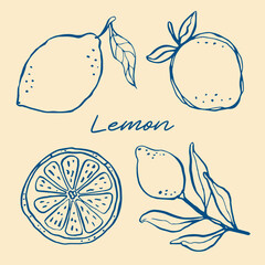 Whimsical hand drawn ink line art with mediterranean lemons and lemon slices in trendy retro style