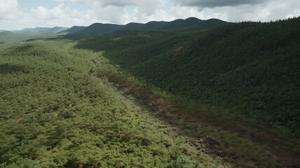 Dense forests and hills under a cloudy sky aerial view