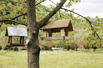 Two handmade wooden bird feeders on tree in forest, eco lifestyle.