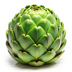 Obraz premium Artichoke