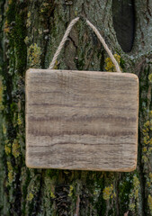 Rustic old wooden empty board hangs on tree