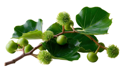 This captures the main ideas from your sentences and tags without using a colon, and is easy to understand Let me know if you’d like a shorter or more poetic version!