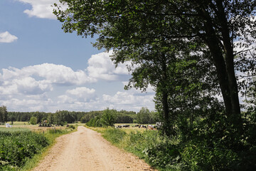 Countryside dirt road landscape. Rural path between fields. Green trees on both sides. Blue sky with clouds in summer. Quiet nature scene. Remote village atmosphere. Tranquil countryside setting.