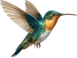 bird vector art
