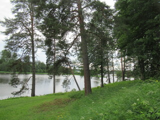 Obraz premium Nature photography. The river is visible behind the trunks of the trees. There's a forest across the river. Picturesque views of the summer landscape. There is a river and a forest behind it