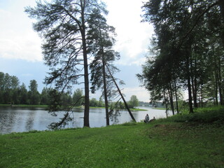 Nature photography. The river is visible behind the trunks of the trees. There's a forest across...