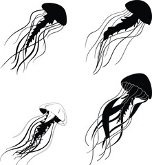 Artistic illustration of several stylized black and white jellyfish on a white background
