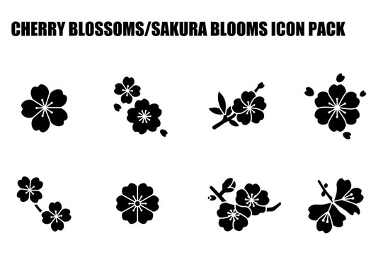 Cherry blossom/Sakura flower icon set in various poses/arrangements. Black and white silhouette design for spring themed illustrations.