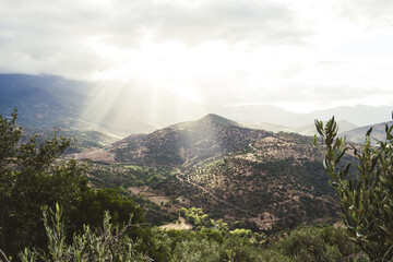 Scenic Mediterranean mountain valley with olive trees and village