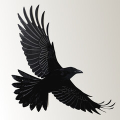 eagle vector illustration