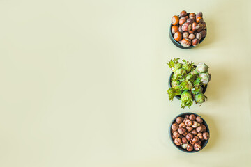 Hazelnuts at various stages of processing placed in ceramic bowls, forming a simple vertical...
