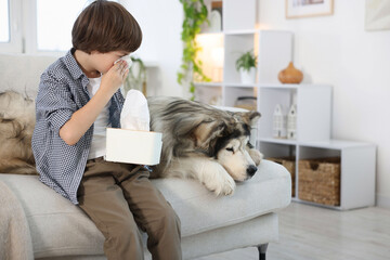 Boy suffering from allergy with her dog on sofa at home