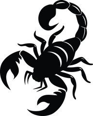 scorpion animal black