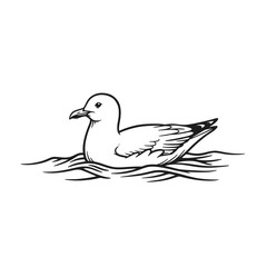 Fototapeta premium Simple line drawing of a seagull floating on water silhouette