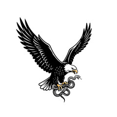 Obraz premium Eagle descending with snake in talons vector image silhouette