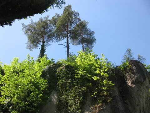 Felsen Fr&auml;nkische Schweiz