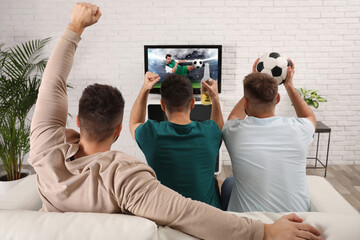Football fans watching soccer match on TV set at home, back view