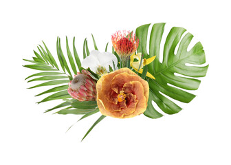 Beautiful tropical flowers and green leaves on white background