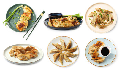 Tasty fried gyoza (dumplings) on white background, collage