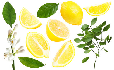 Fresh lemons and green leaves on white background, collage. Citrus fruit