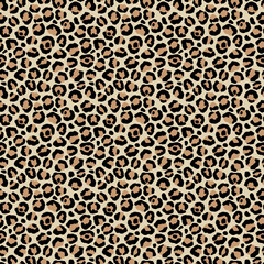 classic leopard