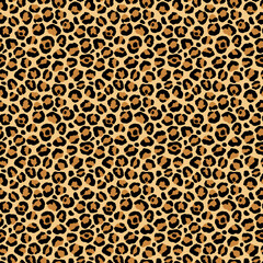 classic leopard