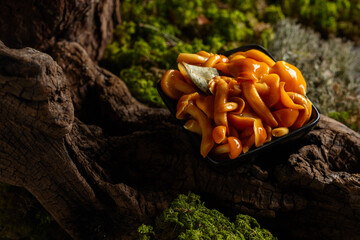 Homemade pickled honey mushrooms in a black bowl.