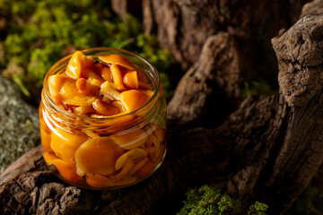 Homemade pickled honey mushrooms in a glass jar.