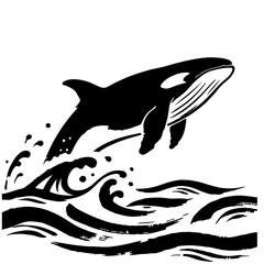 Orca whale jumping out of ocean waves, black and white vector illustration