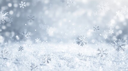 The delicate snowflakes fall softly in a winter wonderland scene.