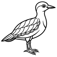 Obraz premium Stylized line art drawing of a shorebird standing on white background
