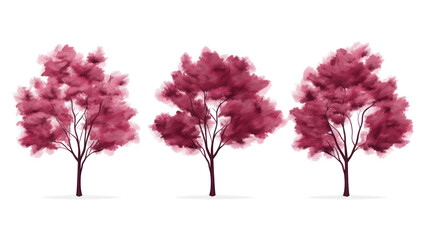 Obraz premium Set of Alnus Rubra Trees - Group of red alder trees with lush green foliage on transparent background