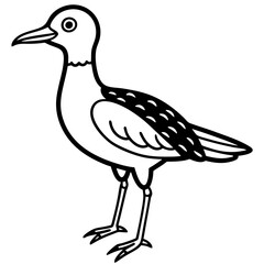 Fototapeta premium Simple black and white line drawing of a cartoon shorebird standing