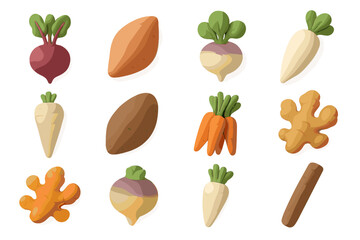 Colorful array of root vegetables with unique shapes and designs