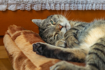 Fototapety na wymiar - Fototapeta24.pl