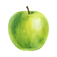 Green apple watercolor illustration fruit clipart  kitchen wall art autumn harvest invitations food design healthy eating prints
