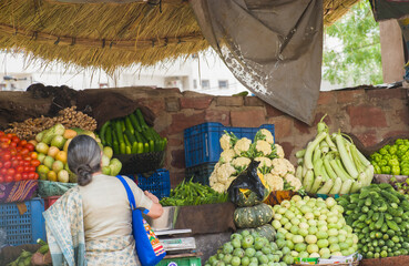 back view of an Indian woman in saree selects fresh vegetables like tomatoes, bottle gourd, and...
