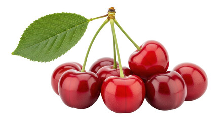 Isolated Fresh Cherries