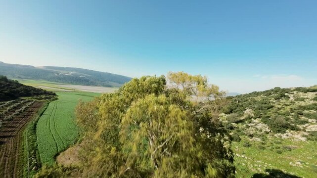 Aerial view of Biq`at Bet Netofa fields, Israel.
