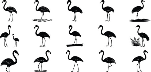 Flamingo Silhouettes vector, on white background.
