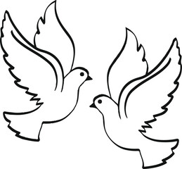 Peaceful Dove Drawing