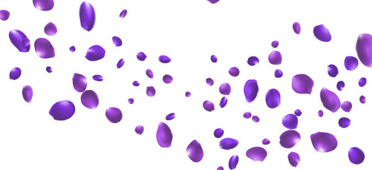 Purple Rose Falling Vector Transparent Background. Flying Peach Banner. Delicate Flower Beauty Backdrop. Purple RoseFall Cover.