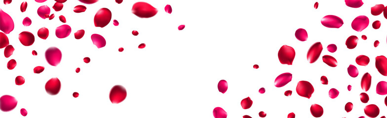 Red Rose Falling Vector Transparent Background. Flying Peach Banner. Delicate Flower Beauty Backdrop. Pink Rose Fall Cover.