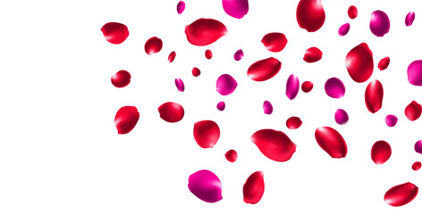 Red Rose Falling Vector Transparent Background. Flying Peach Banner. Delicate Flower Beauty Backdrop.