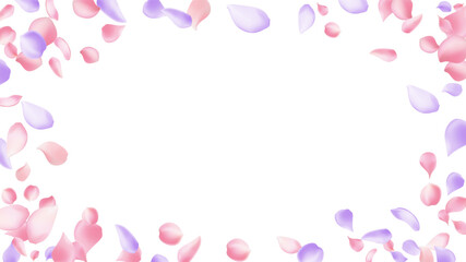 Pink sakura flower flying petals isolated on white. Natural beauty salon background. Japanese sakura petals seasonal confetti, blossom elements