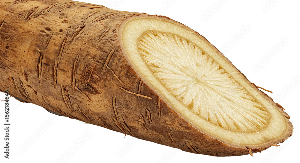 Poster Freshly cut burdock root displaying its unique pattern and texture details