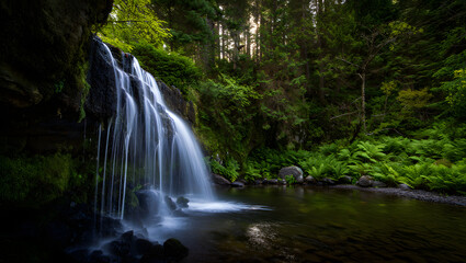 Obraz premium A scenic waterfall cascades through a lush green forest landscape