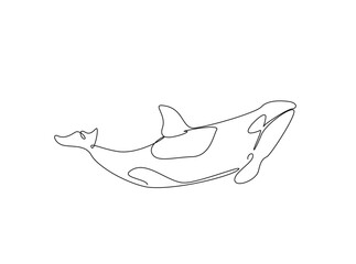 Killer whale in the ocean single outline illustration. Continuous line art drawing of orca killer whale.